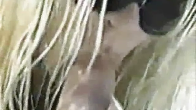 Các phim sex tuyen chon nhat ban cặp vợ chồng người đức đầu tiên trong Nhà Phim HD.