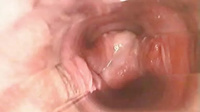 kiểu chó, bị phim xex nhat ban hay tan vỡ mẹ chồng chồng
